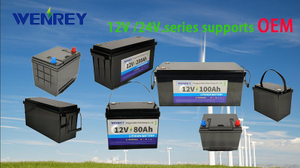 OEM 12V 工厂供货价长寿命 200ah LiFePO4 可充电锂离子电池
